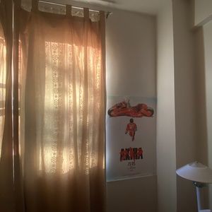 Meet your Posher, Pauline